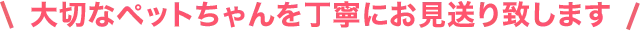 大切なペットちゃんを丁寧にお見送り致します