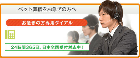 ペット葬儀でお急ぎの方へ